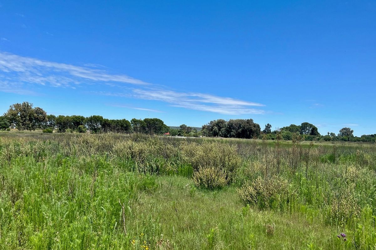 Vacant Land For Sale In Bloemfontein - Photo 2
