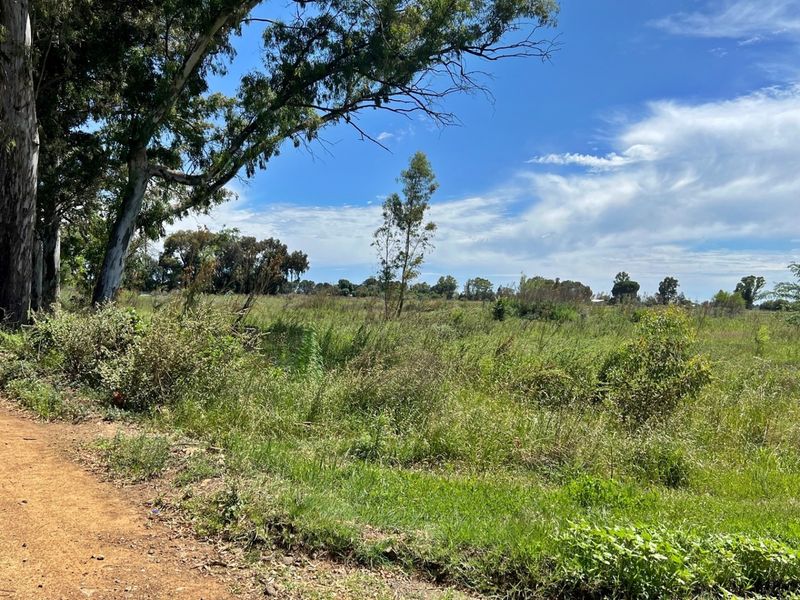 Vacant Land For Sale In Bloemfontein - Photo 6