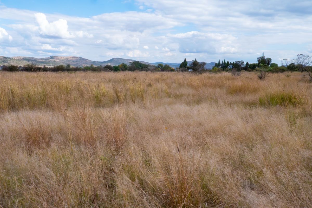 Farm For Sale In Hartbeespoort - Photo 5