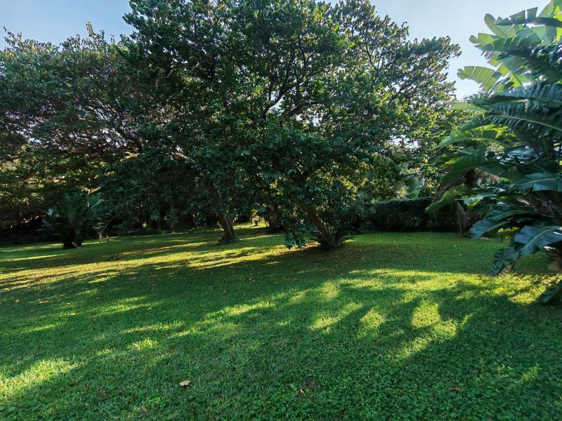 A lush, well-maintained garden area featuring mature trees and expansive green lawn space, offering a peaceful outdoor setting.