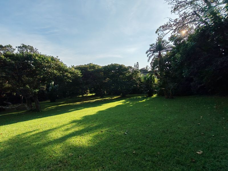 A spacious, well-maintained residential garden featuring mature trees and expansive green lawn areas, offering a peaceful outdoor setting.