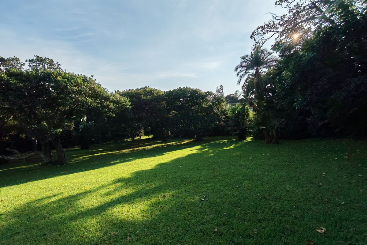 A spacious, well-maintained residential garden featuring mature trees and expansive green lawn areas, offering a peaceful outdoor setting.