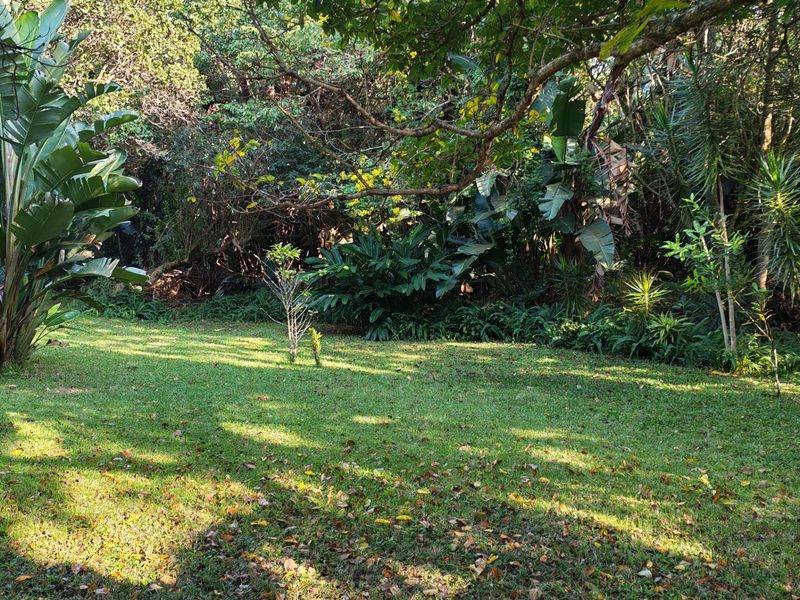 A lush, established garden area featuring mature trees and greenery, providing a private and natural outdoor setting.