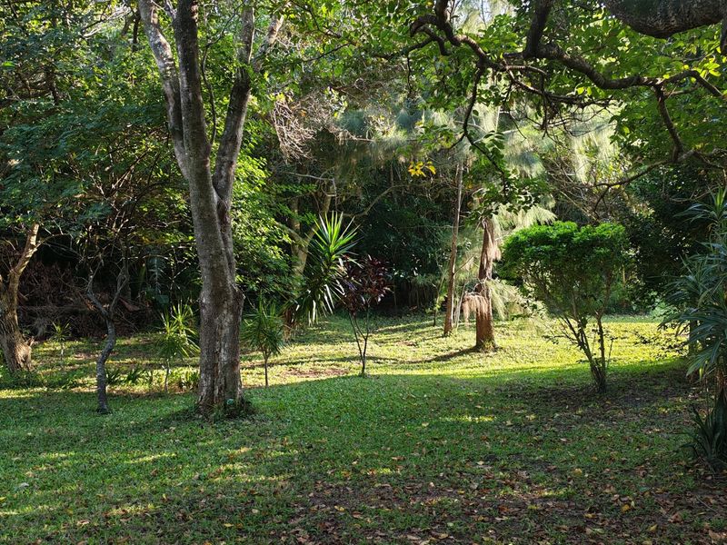 A lush, well-established garden area featuring mature trees and natural landscaping, offering a serene and private outdoor setting.