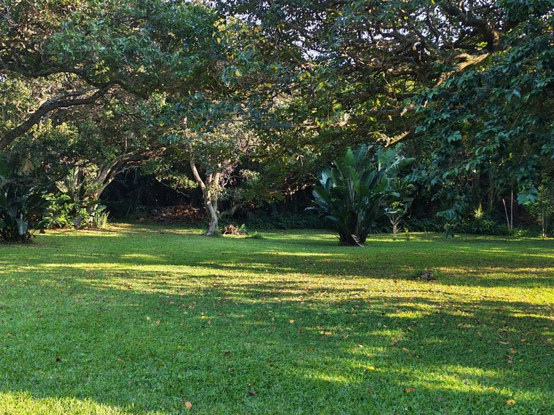 A spacious, well-maintained residential garden featuring mature trees and lush green lawn, offering a peaceful and private outdoor setting.