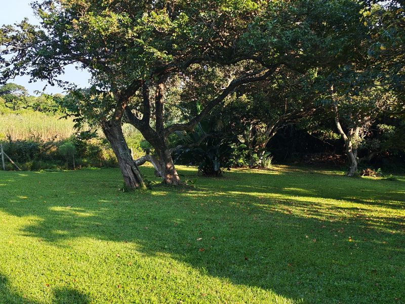 A well-maintained, spacious garden area featuring mature trees and lush green lawn, providing a peaceful outdoor setting.