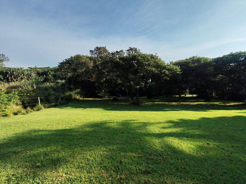 A spacious, well-maintained residential garden featuring a lush green lawn and mature trees, providing a peaceful outdoor setting.