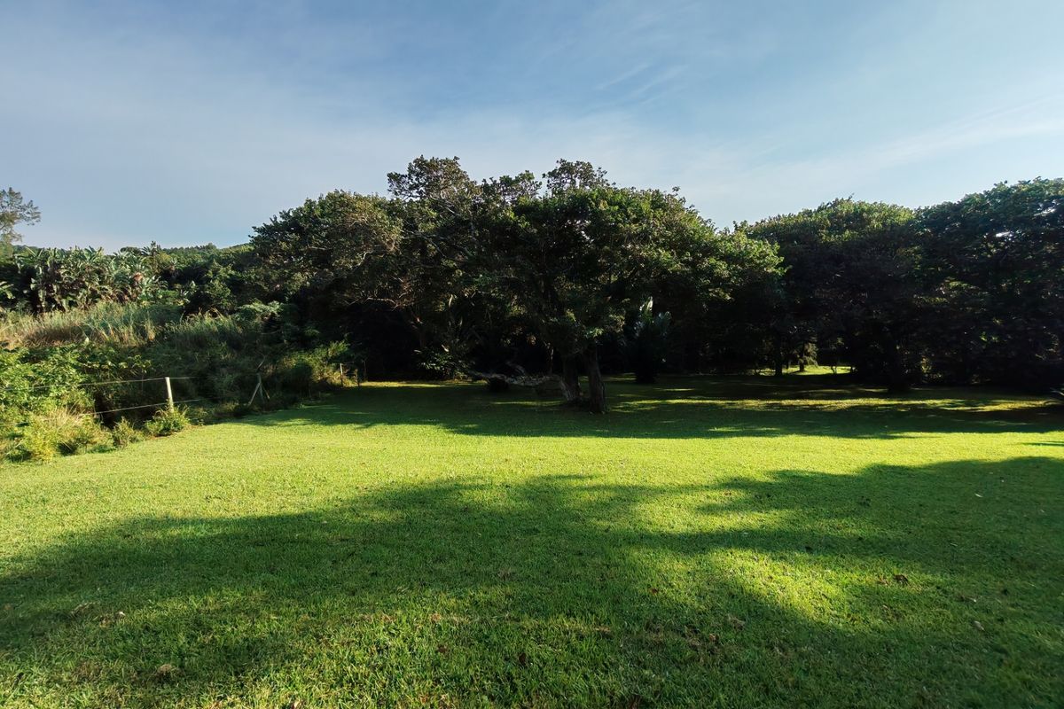 A spacious, well-maintained residential garden featuring a lush green lawn and mature trees, providing a peaceful outdoor setting.