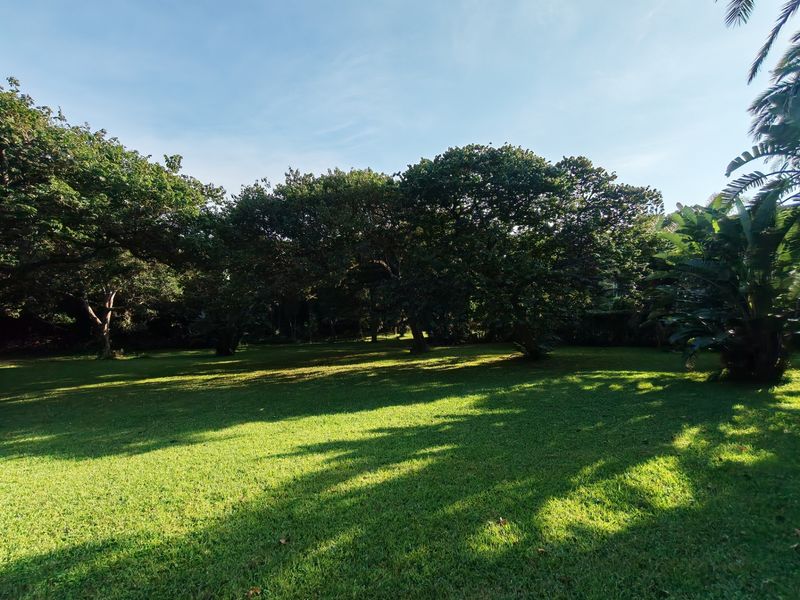 A spacious, well-maintained residential garden featuring a lush green lawn and mature trees providing natural shade.