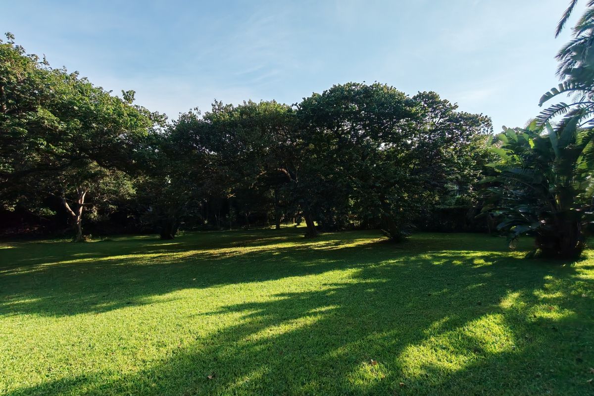 A spacious, well-maintained residential garden featuring a lush green lawn and mature trees providing natural shade.