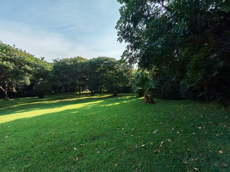 A spacious, well-maintained residential garden featuring expansive green lawns and mature trees, offering a peaceful and private outdoor setting.