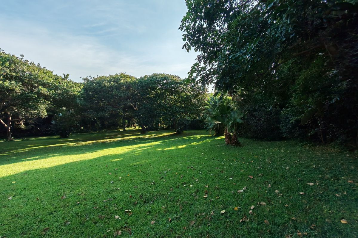 A spacious, well-maintained residential garden featuring expansive green lawns and mature trees, offering a peaceful and private outdoor setting.