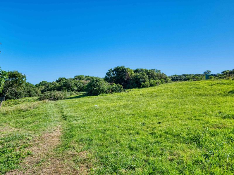 Farm For Sale In Port Elizabeth - Photo 5