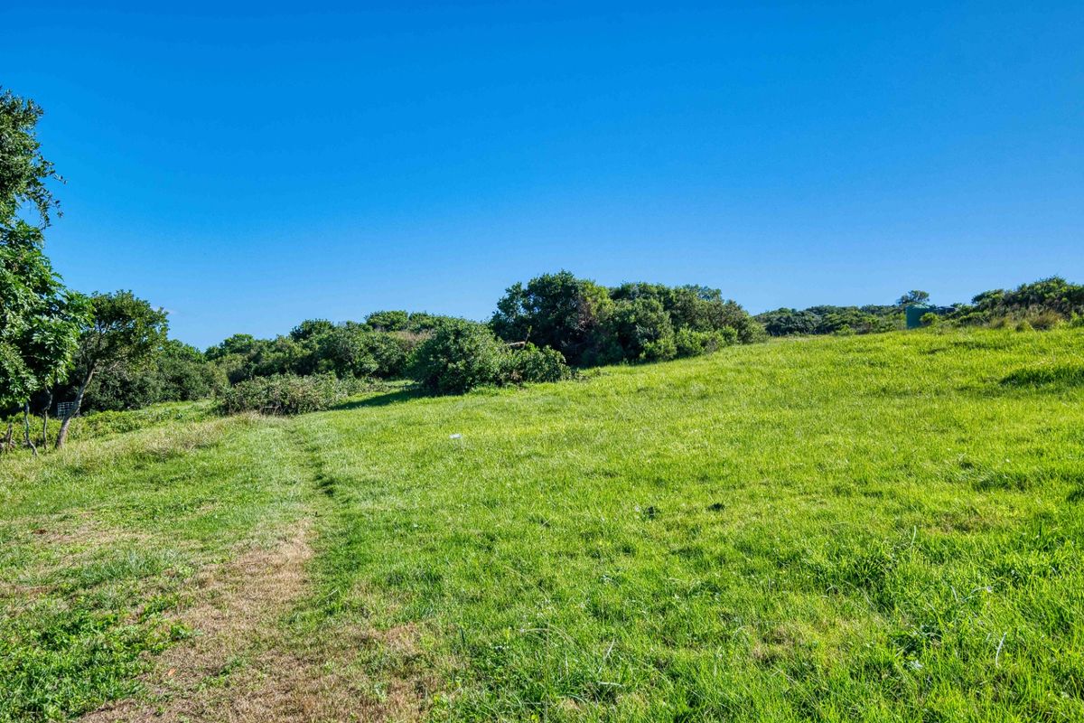 Farm For Sale In Port Elizabeth - Photo 5