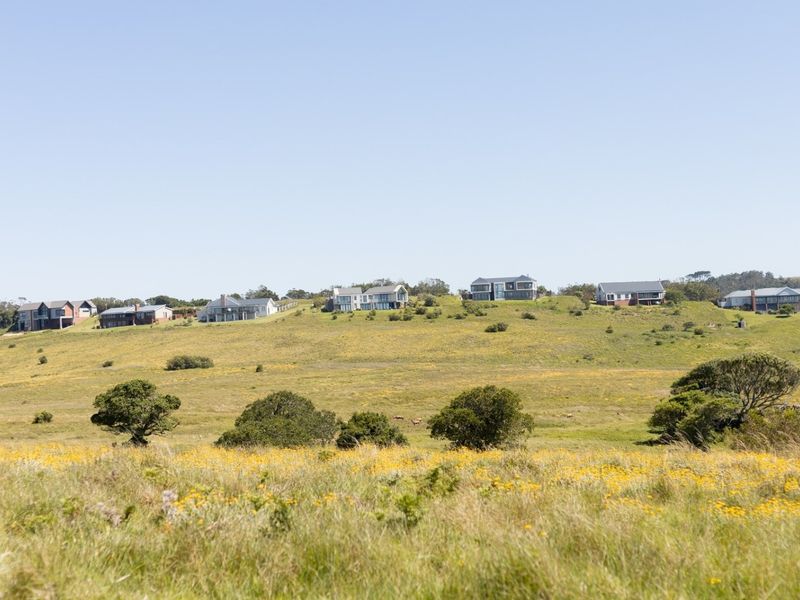A scenic landscape view of a grassy hillside featuring residential properties in the distance.