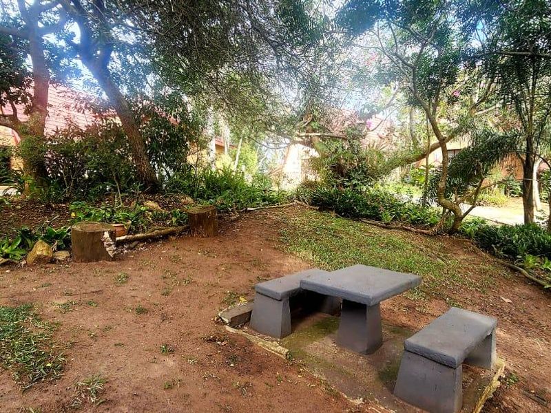 A shaded garden area featuring mature trees, established landscaping, and a fixed concrete bench and table set.