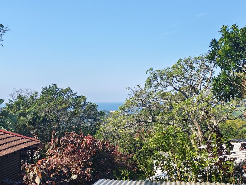 House For Sale In Southbroom - Photo 1