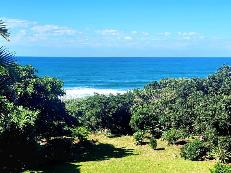 A scenic elevated view overlooking lush coastal vegetation and the ocean horizon.