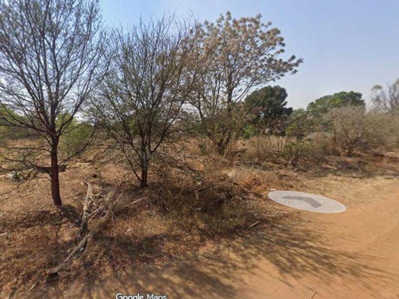 A view of a vacant residential plot featuring natural vegetation and access from an unpaved road.