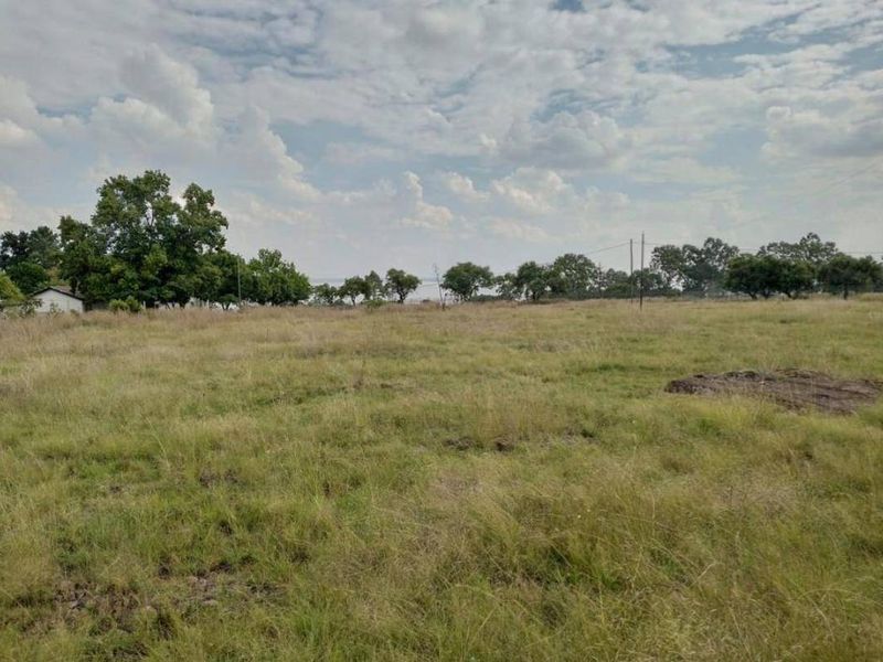 Vacant Land For Sale In Oranjeville - Photo 9