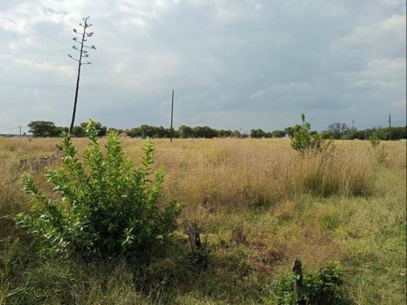 Vacant Land For Sale In Oranjeville - Photo 8