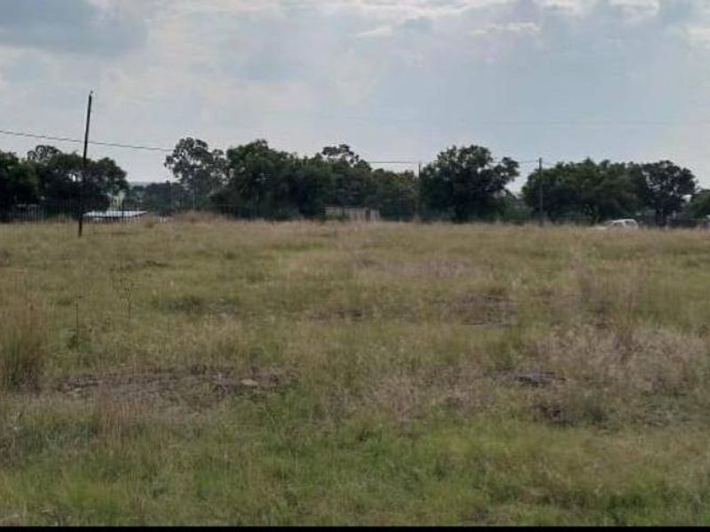 Vacant Land For Sale In Oranjeville - Photo 7