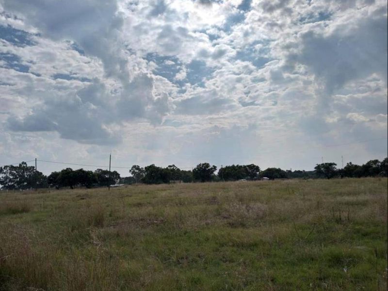 Vacant Land For Sale In Oranjeville - Photo 5