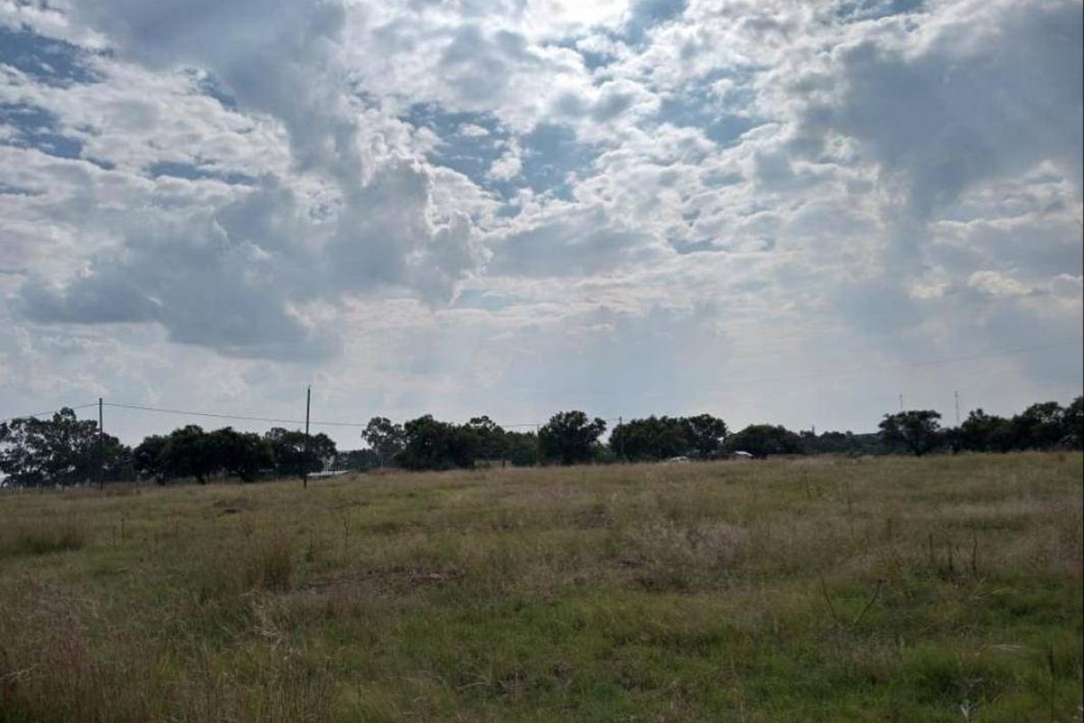 Vacant Land For Sale In Oranjeville - Photo 5