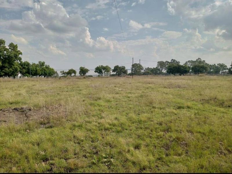 Vacant Land For Sale In Oranjeville - Photo 4