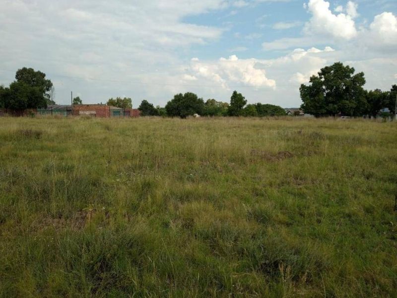 Vacant Land For Sale In Oranjeville - Photo 3