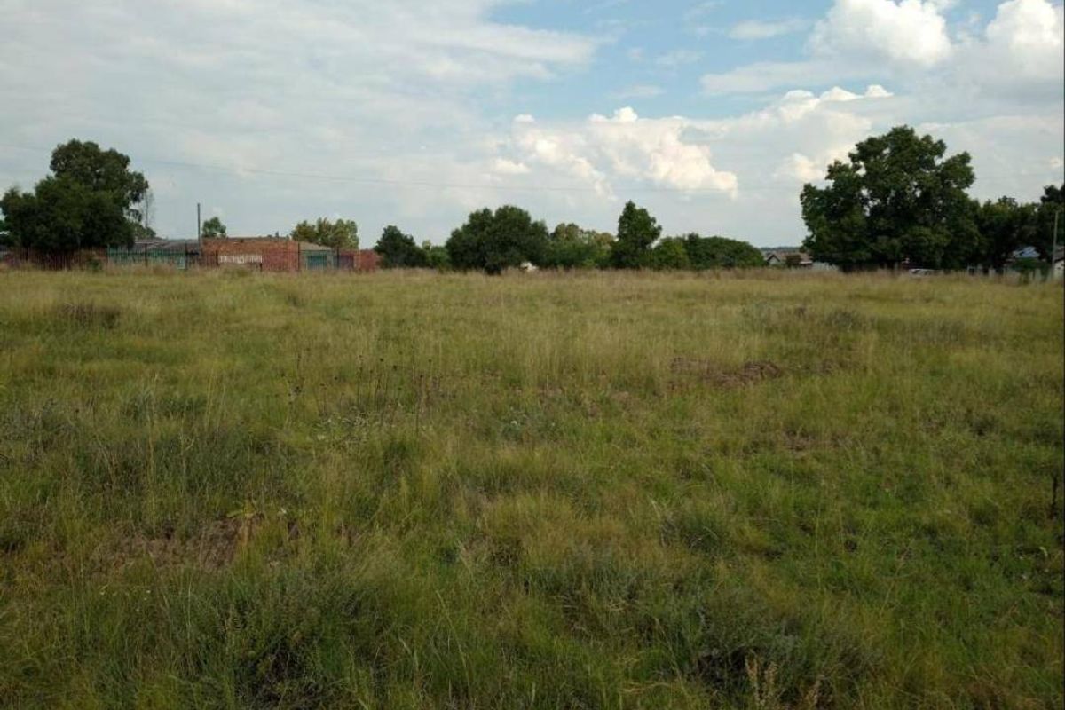 Vacant Land For Sale In Oranjeville - Photo 3