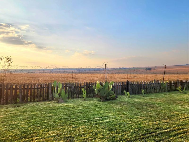 Farm For Sale In Bronkhorstspruit - Photo 4