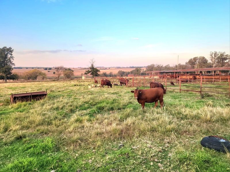 Farm For Sale In Bronkhorstspruit - Photo 3