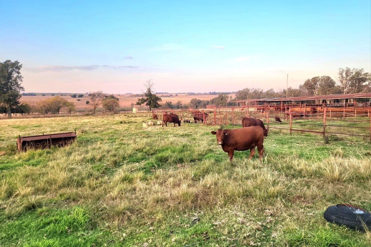 Farm For Sale In Bronkhorstspruit - Photo 3