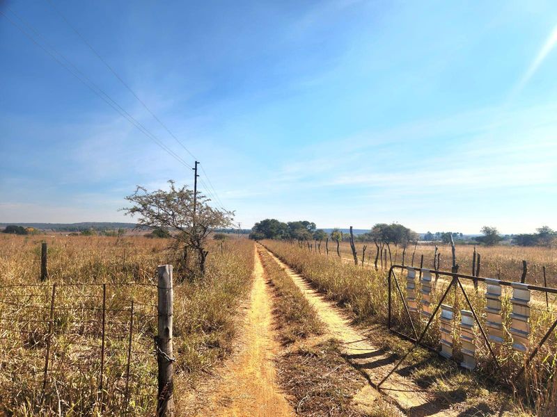 A dirt access road leading through open farm land, featuring wire perimeter fencing and a metal farm gate.