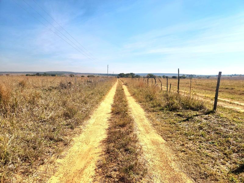A dirt access road leading through open farmland, bordered by wire fencing and wooden posts under a clear sky.
