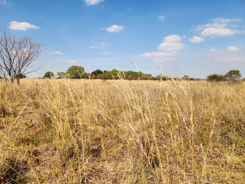 A scenic view of open farm grassland with natural vegetation and indigenous trees under a clear blue sky.