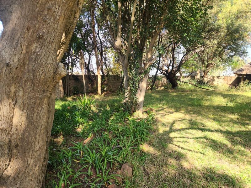 A spacious garden area featuring mature trees and a perimeter boundary wall, offering a natural and private outdoor setting.