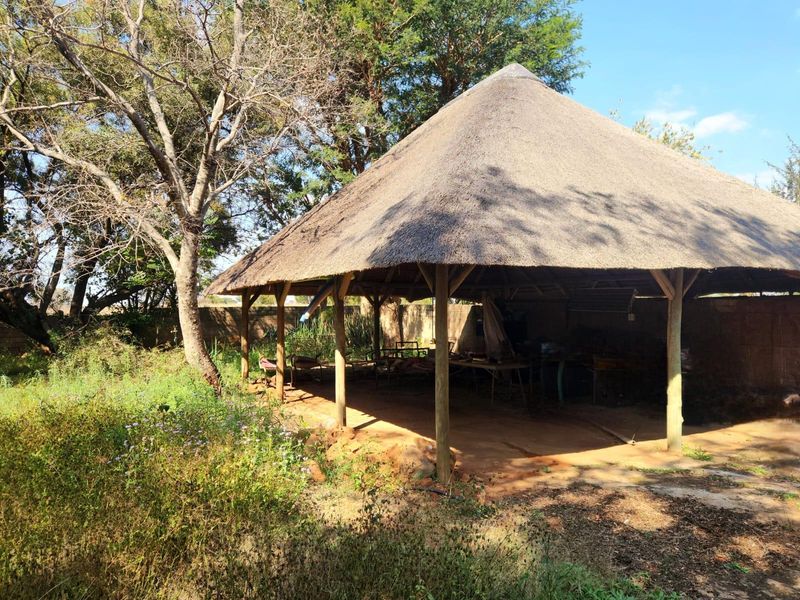 A rustic outdoor thatched-roof entertainment area featuring timber support posts and an earthen floor, set within a natural, overgrown garden environment.