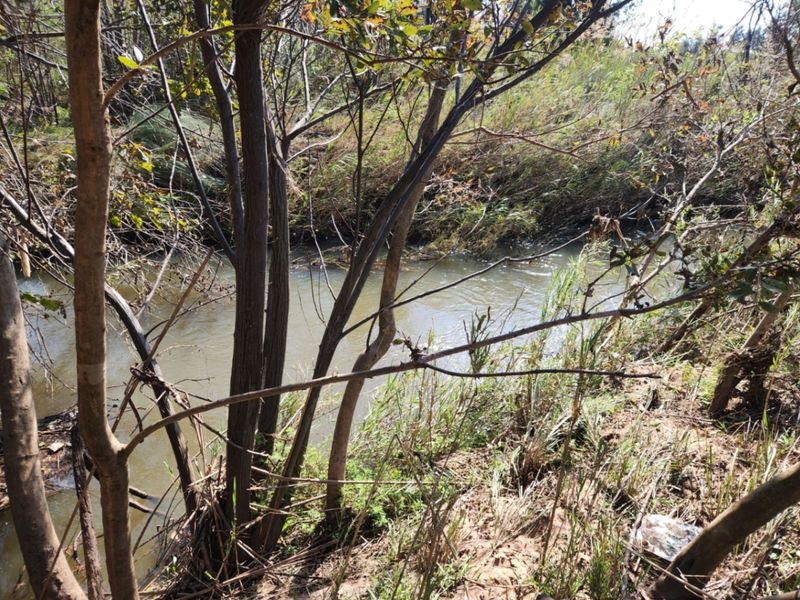 A natural stream flowing through the property, surrounded by native trees and riparian vegetation.