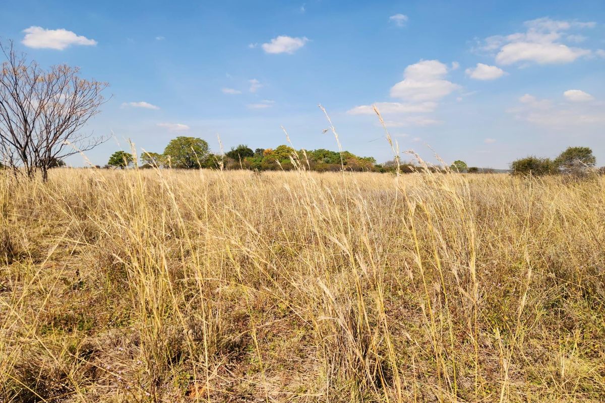 Farm For Sale In Cullinan - Photo 3