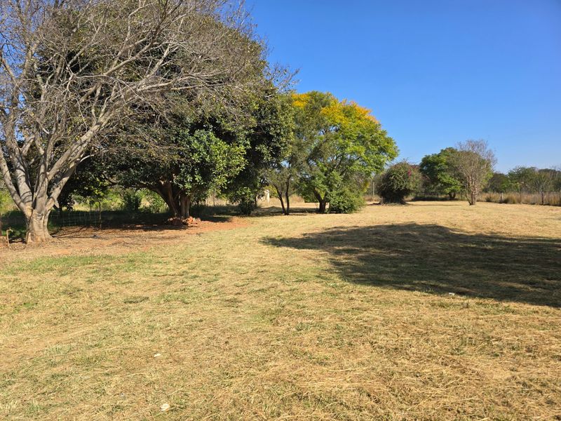A spacious, open garden area featuring mature trees and natural grass, providing a peaceful outdoor setting.