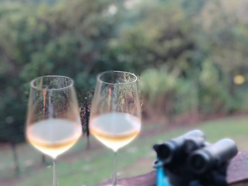 A scenic view overlooking a lush green landscape and forest area, captured from an outdoor vantage point.