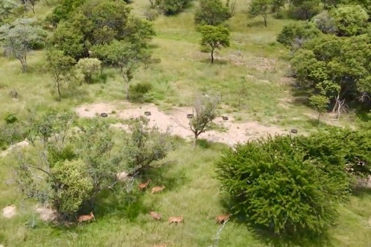 An aerial view of a vacant residential plot featuring natural bushveld vegetation and open grassy areas.