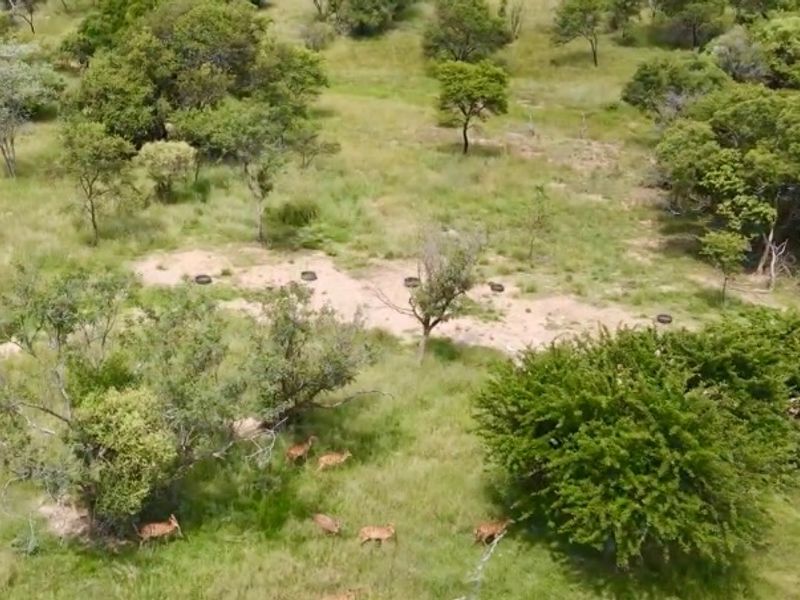 Vacant Land For Sale In Pretoria - Photo 3