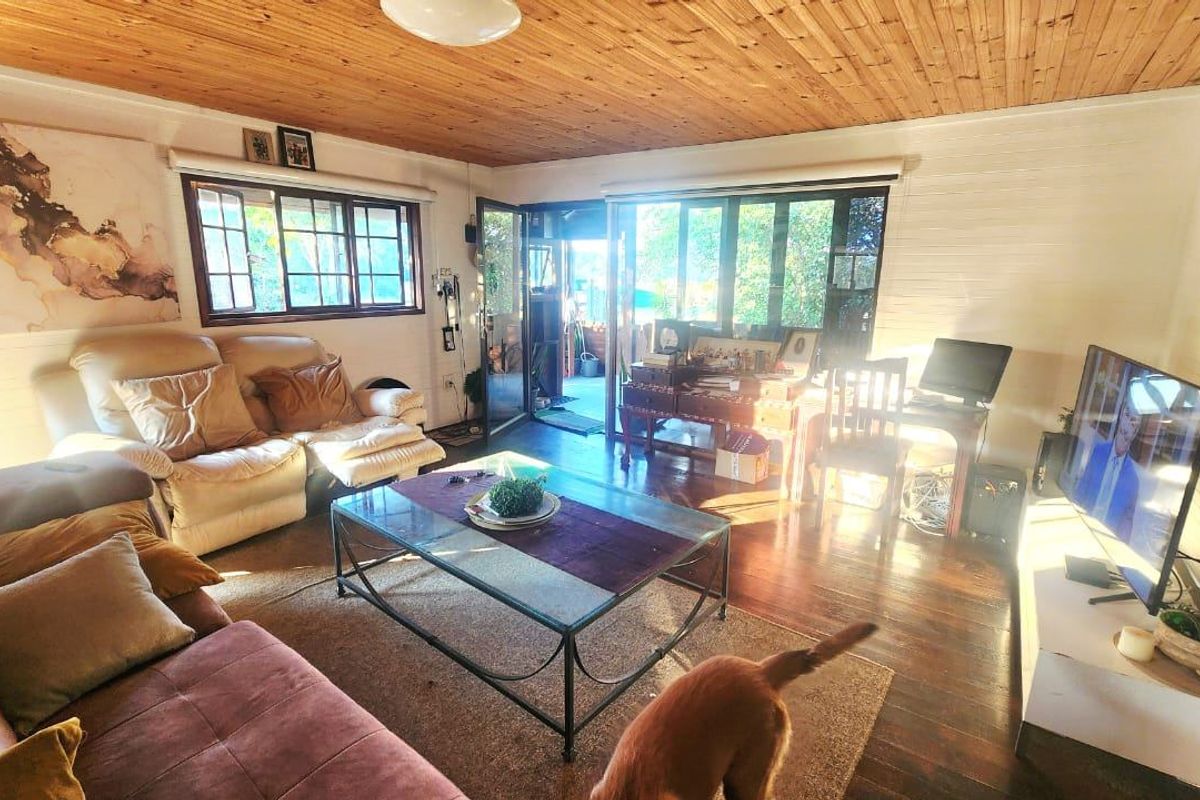 A cozy living room featuring warm timber ceilings and flooring, with large windows and sliding doors providing natural light and access to the outdoors.