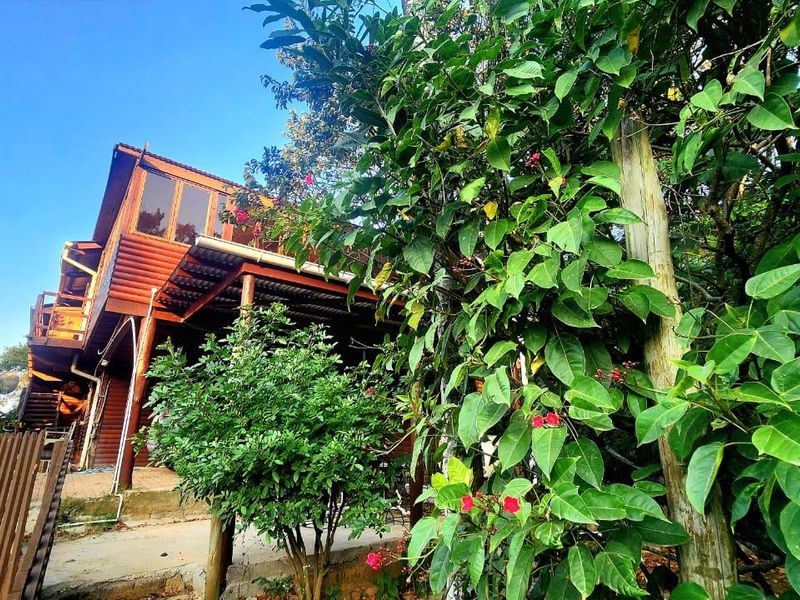 Rear view of a timber-clad townhouse featuring a raised balcony, wooden support structures, and surrounding garden foliage.