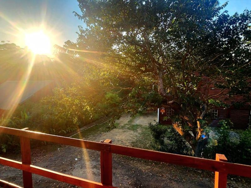 Elevated wooden balcony overlooking a lush garden area with mature trees and a sunlit backyard setting.