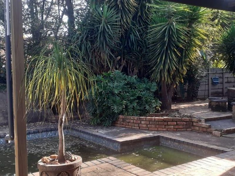 Outdoor pool area featuring a paved patio, brick built-in braai, and established garden surroundings, requiring maintenance and pool cleaning.