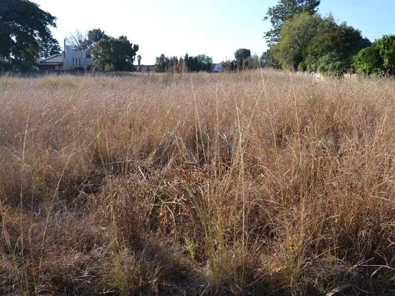 A view of a vacant residential plot covered in dry grass with mature trees in the background.